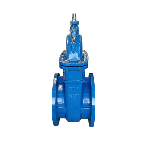 API CAST IRON GATE VALVE