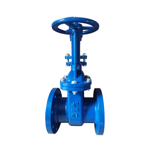 JIS CAST IRON GATE VALVE