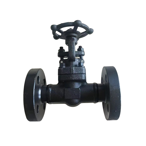 API FORGED FLANGE GATE VALVE