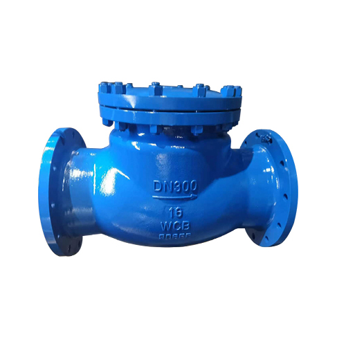 DIN CAST STEEL SWING CHECK VALVE