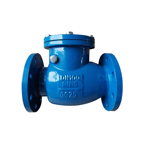 DIN CAST IRON SWING CHECK VALVE